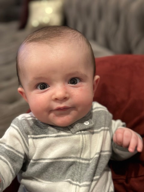 BXD HOLIDAY WIRE BIRDS